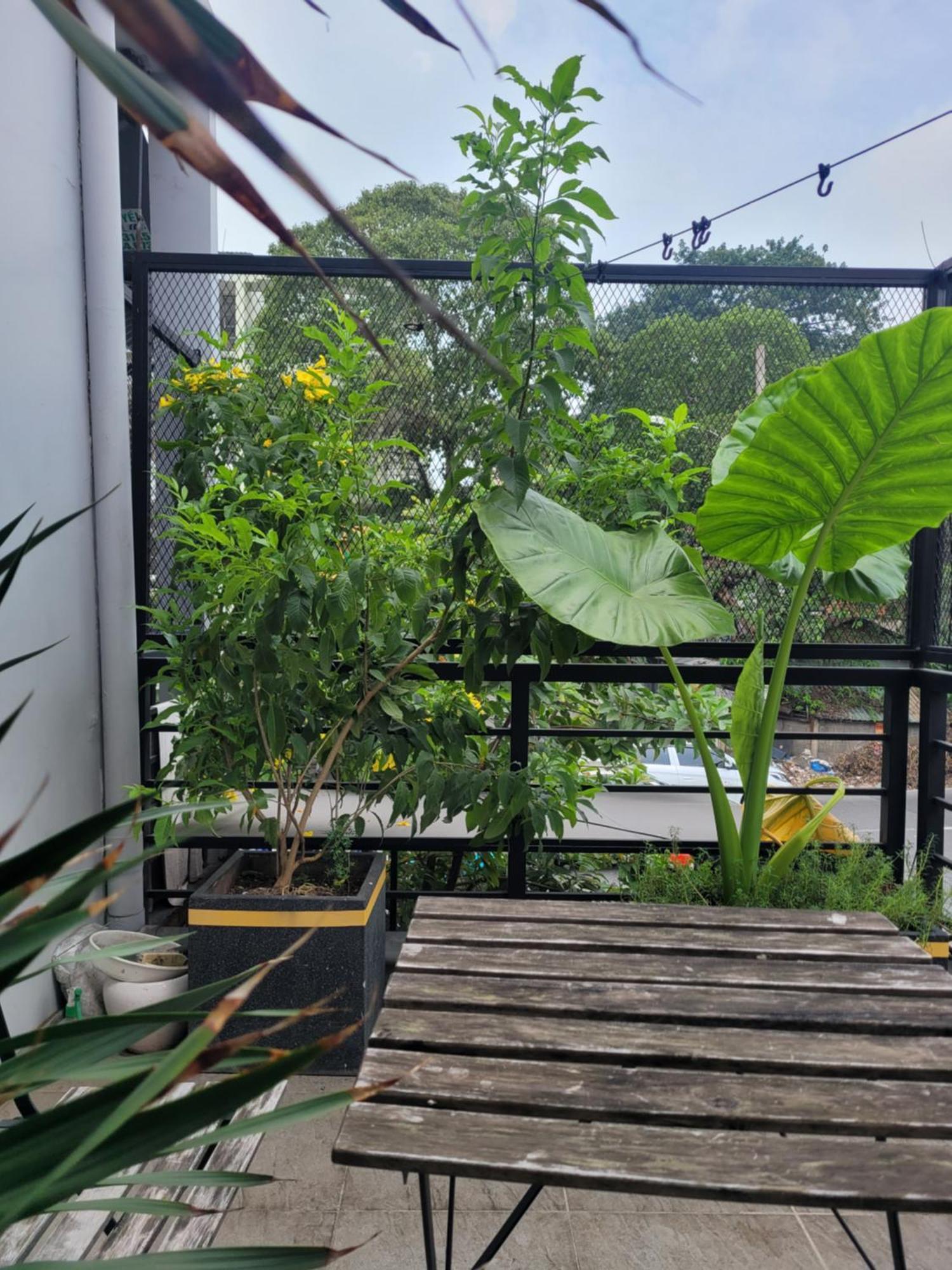 הו צ'י מין סיטי Agk House - Homestay - 406 Xo Viet Nghe Tinh, P25, Binh Thanh, Gan Nga 4 Hang Xanh מראה חיצוני תמונה